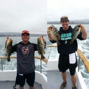 Meet your Posher, Brett